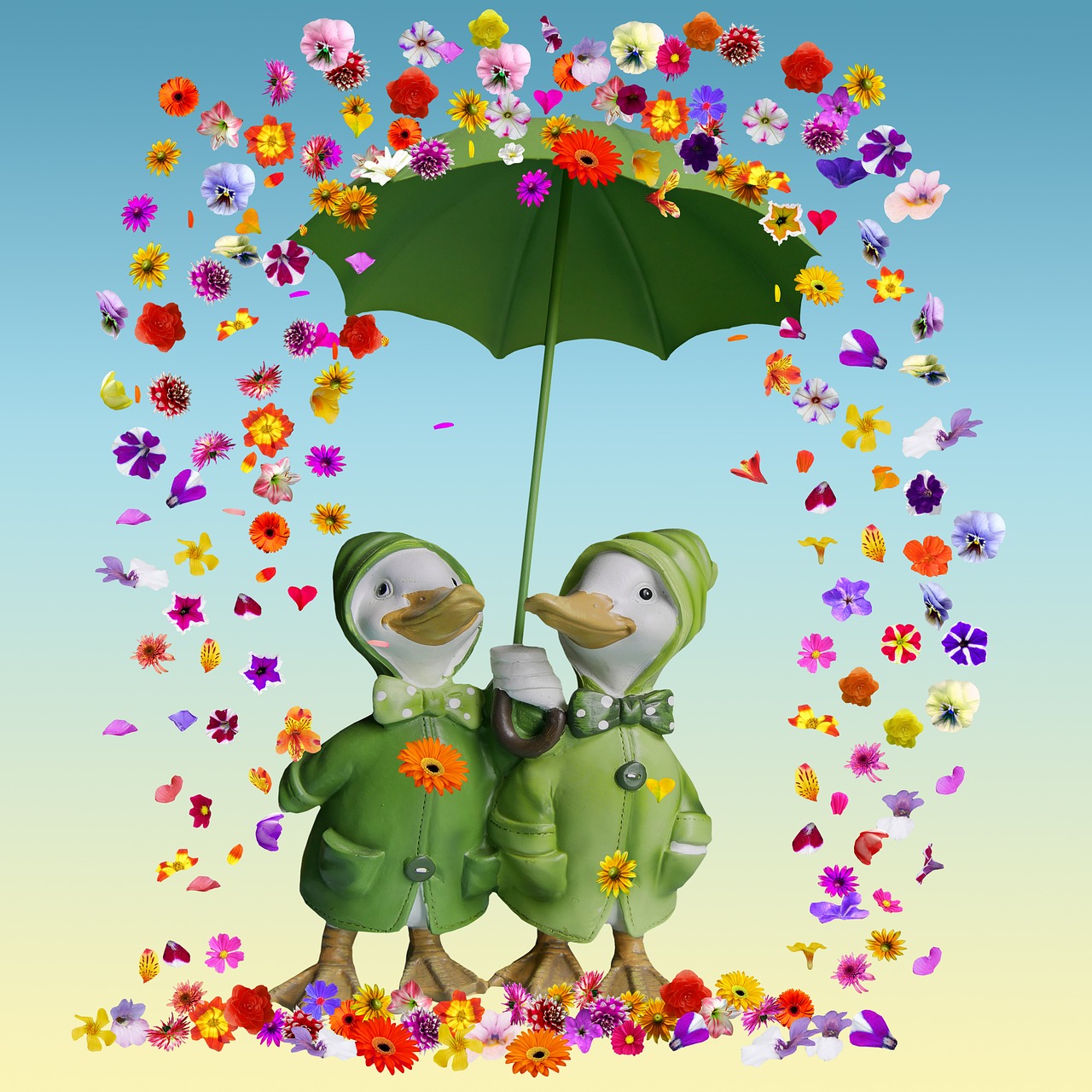 flowers flowers rain umbrella free photo