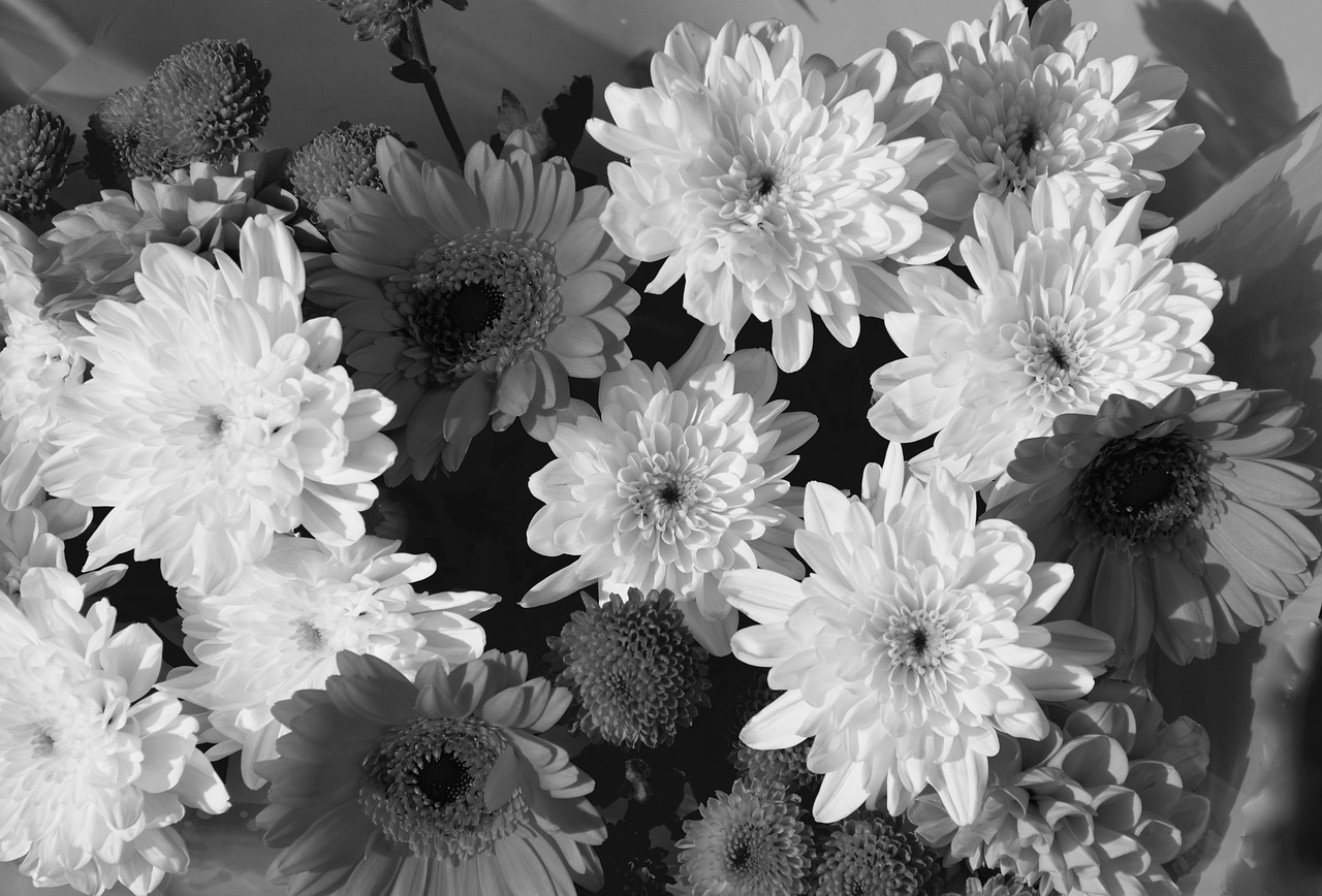 flowers floral composition photo black white free photo