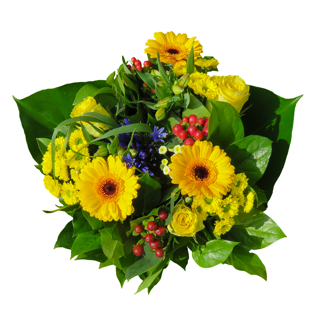 flowers bouquet isolated free photo