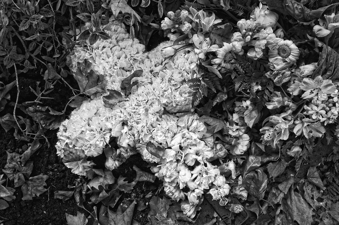 flowers flower arrangement funeral free photo