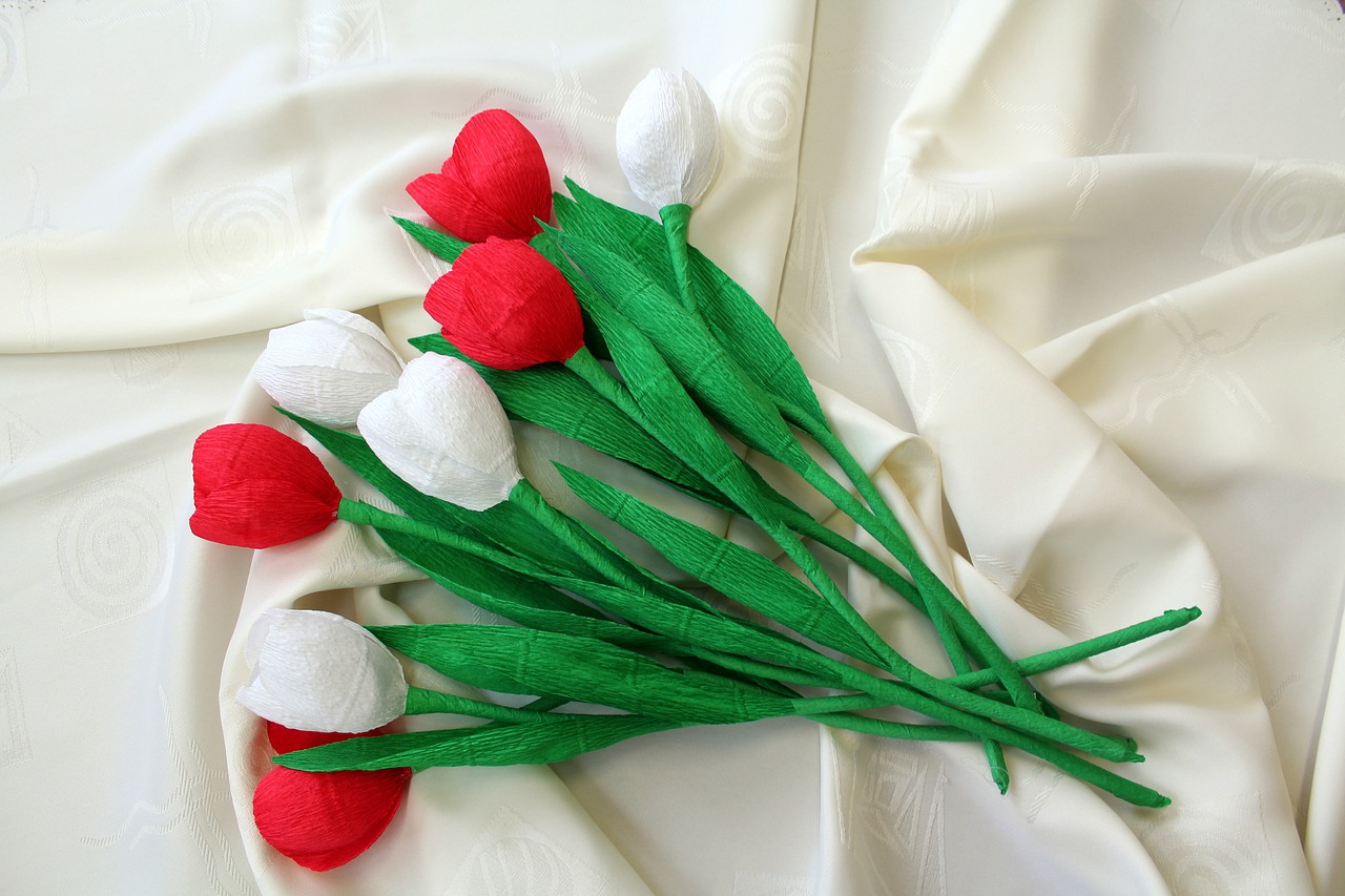 flowers decoration white - red free photo