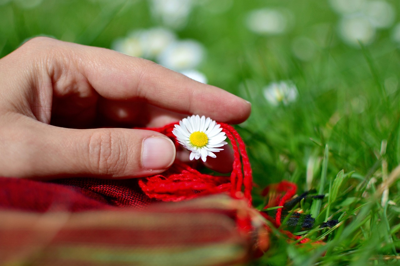 flowers hand fingers free photo