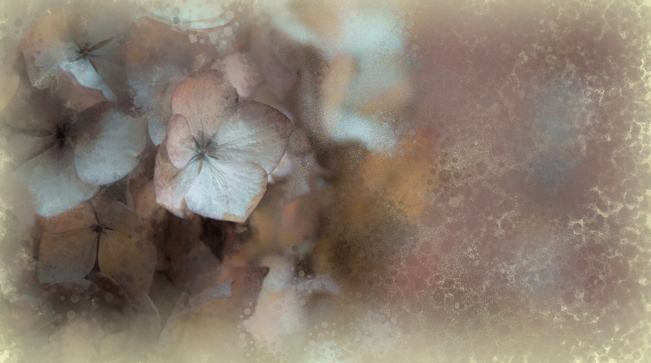 flowers digital art digital painting free photo