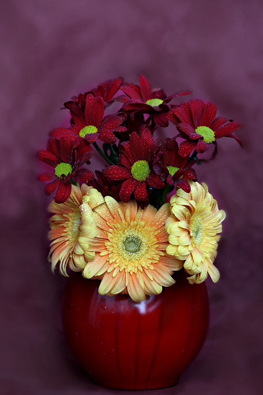 flowers vase gerbera free photo