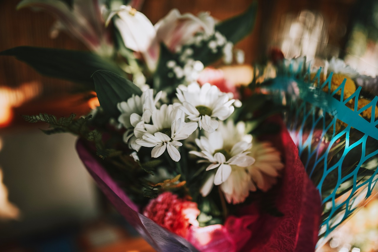 flowers lily plant free photo