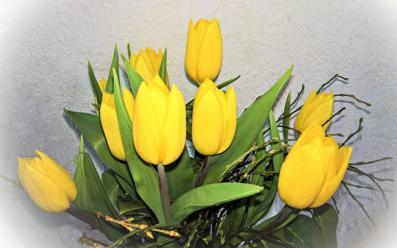 flowers tulips easter free photo
