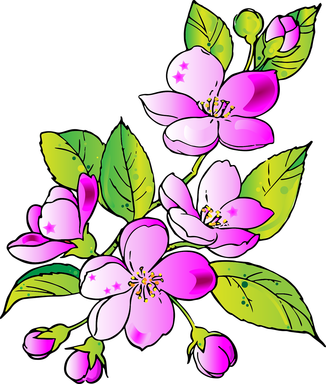 download-free-photo-of-flowers-drawing-flower-pink-spring-from