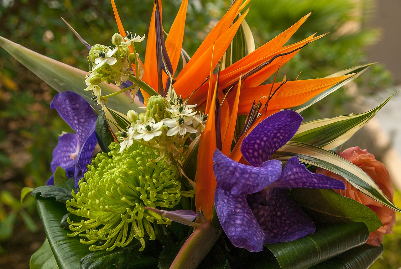 flowers  bouquet  orchid free photo