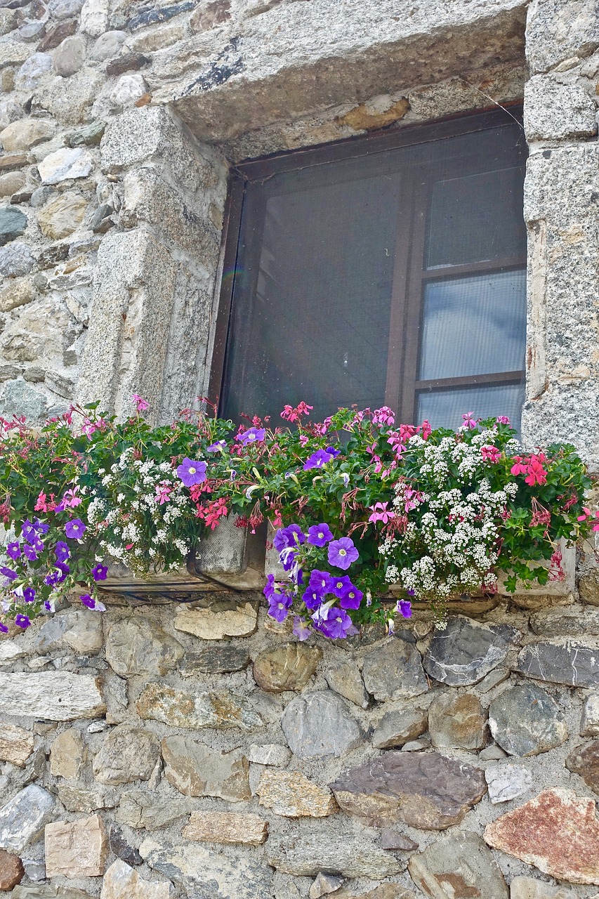 flowers  house  stone free photo