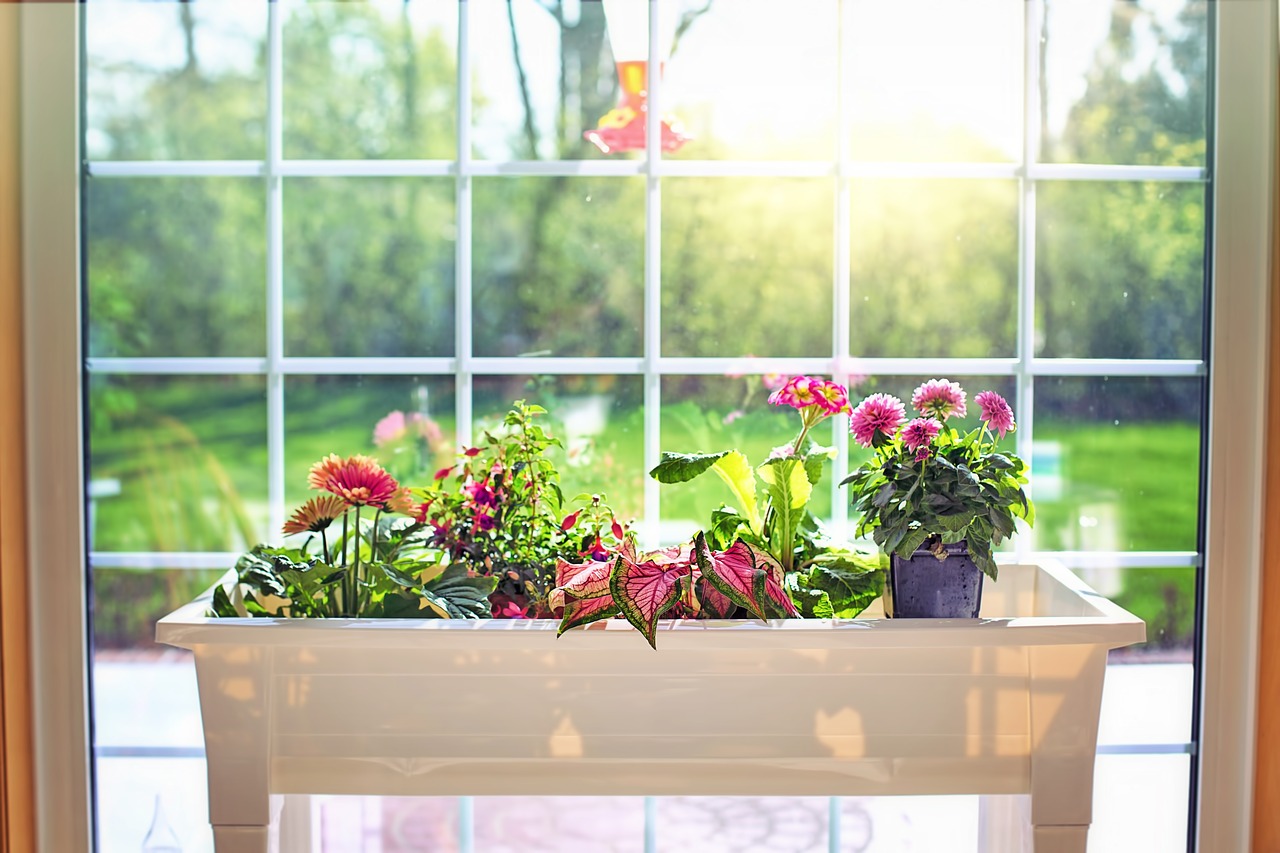 flowers  flower box  garden free photo