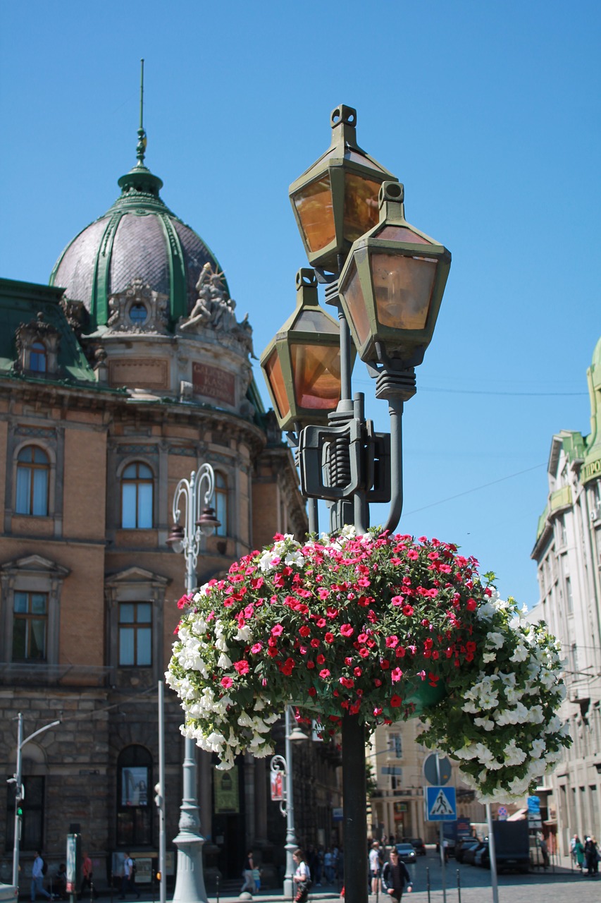 flowers  lantern  street lamp free photo