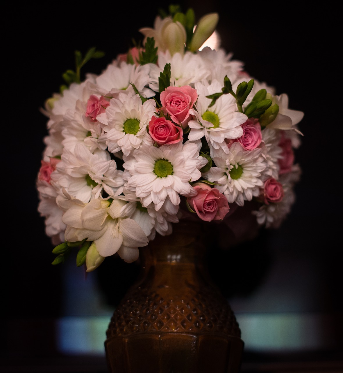 flowers  pink  white free photo