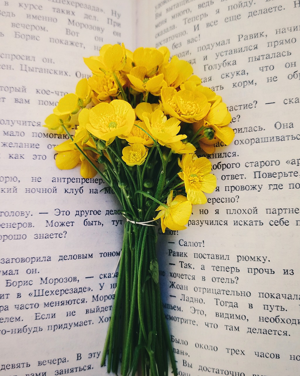 flowers  book  bouquet free photo