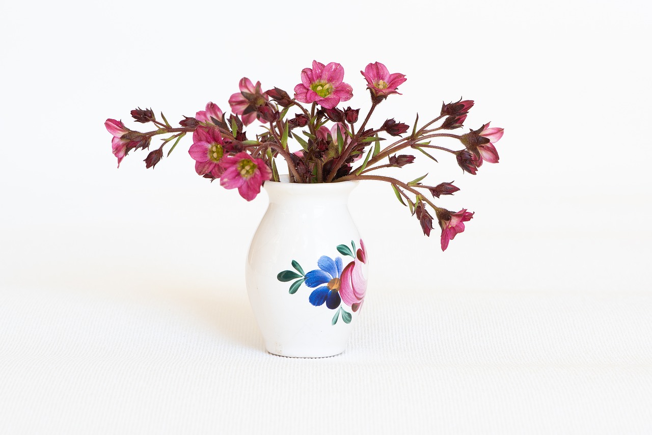 flowers  vase  flower vase free photo