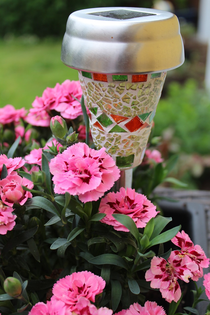 flowers  lamp  lantern free photo