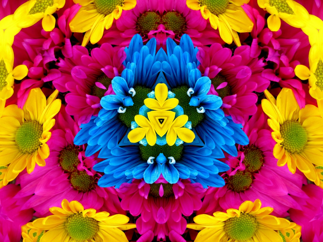 flowers  kaleidoscope  mandala free photo