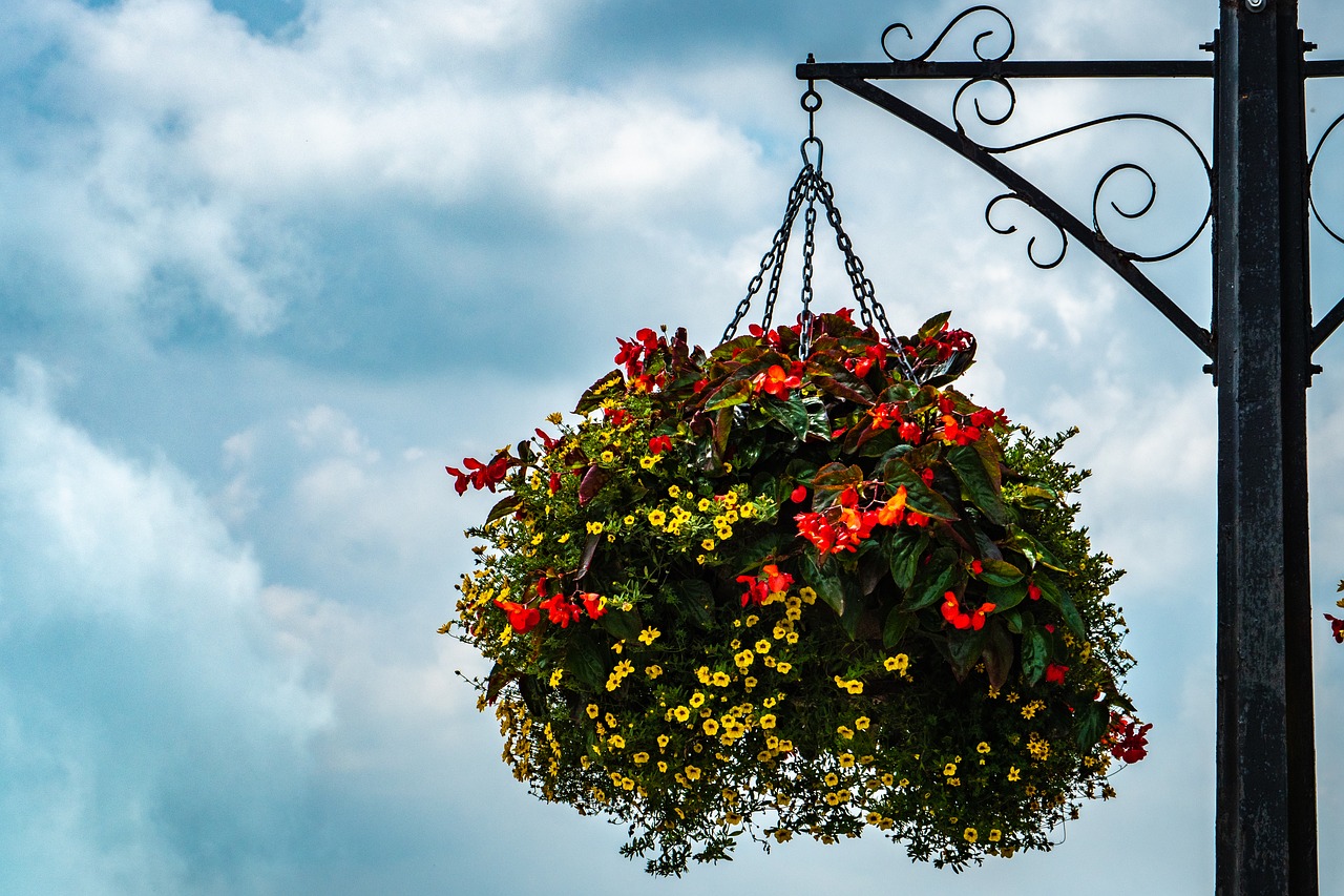 flowers  street lamp  niagara falls free photo