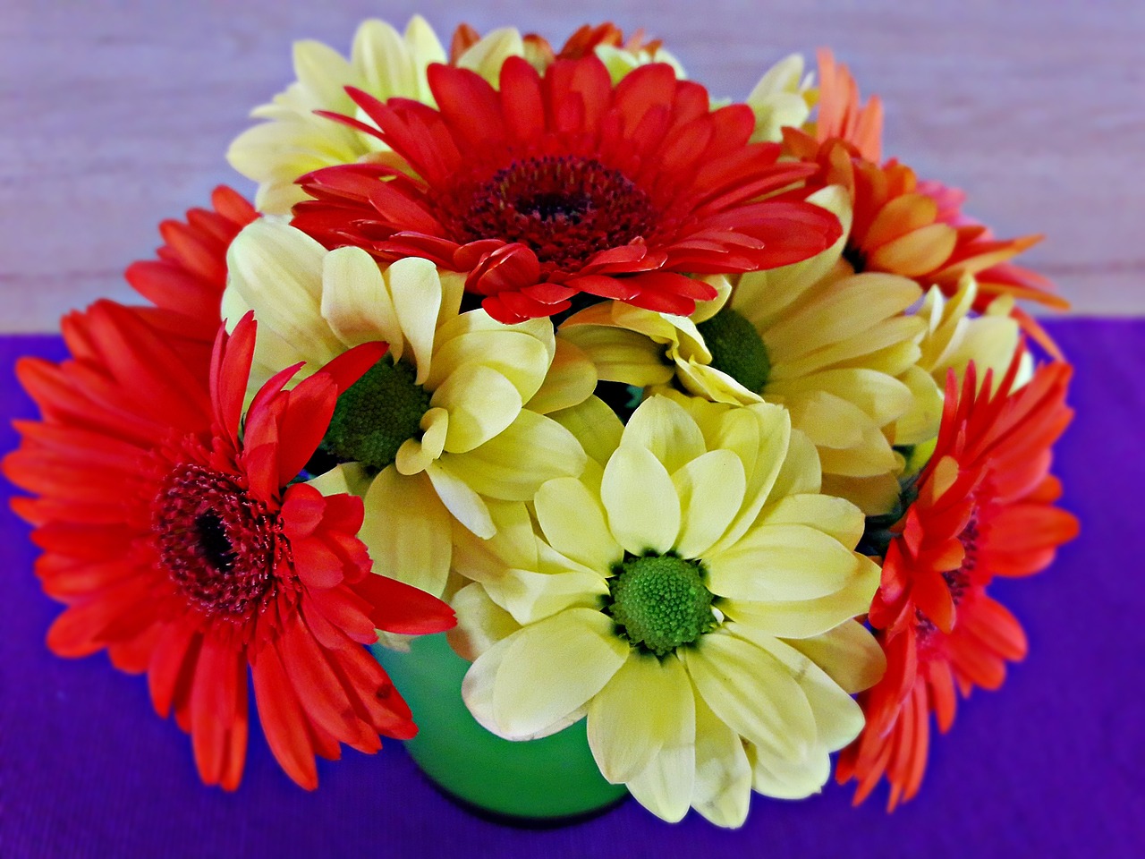 flowers  vase  color free photo