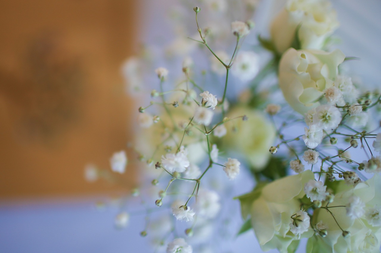 flowers  white  celebration free photo