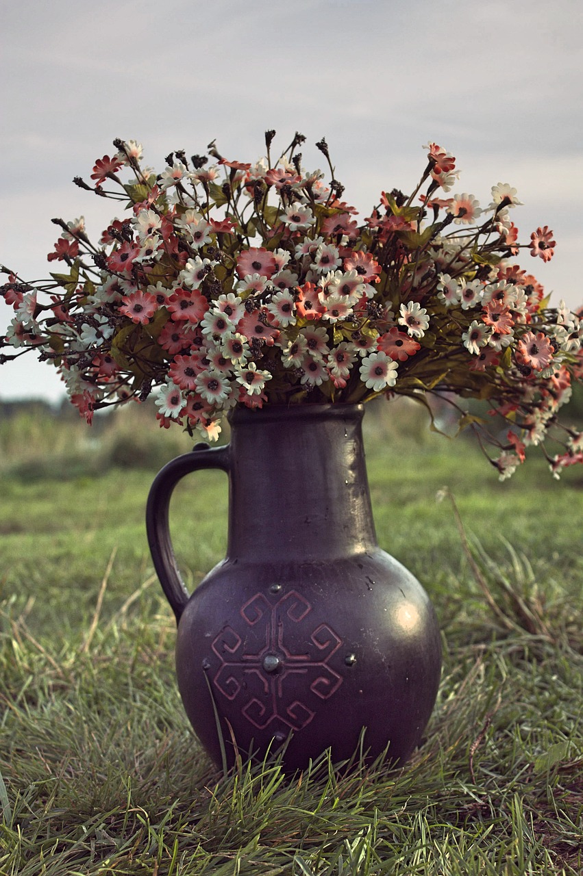 flowers  pitcher  summer free photo