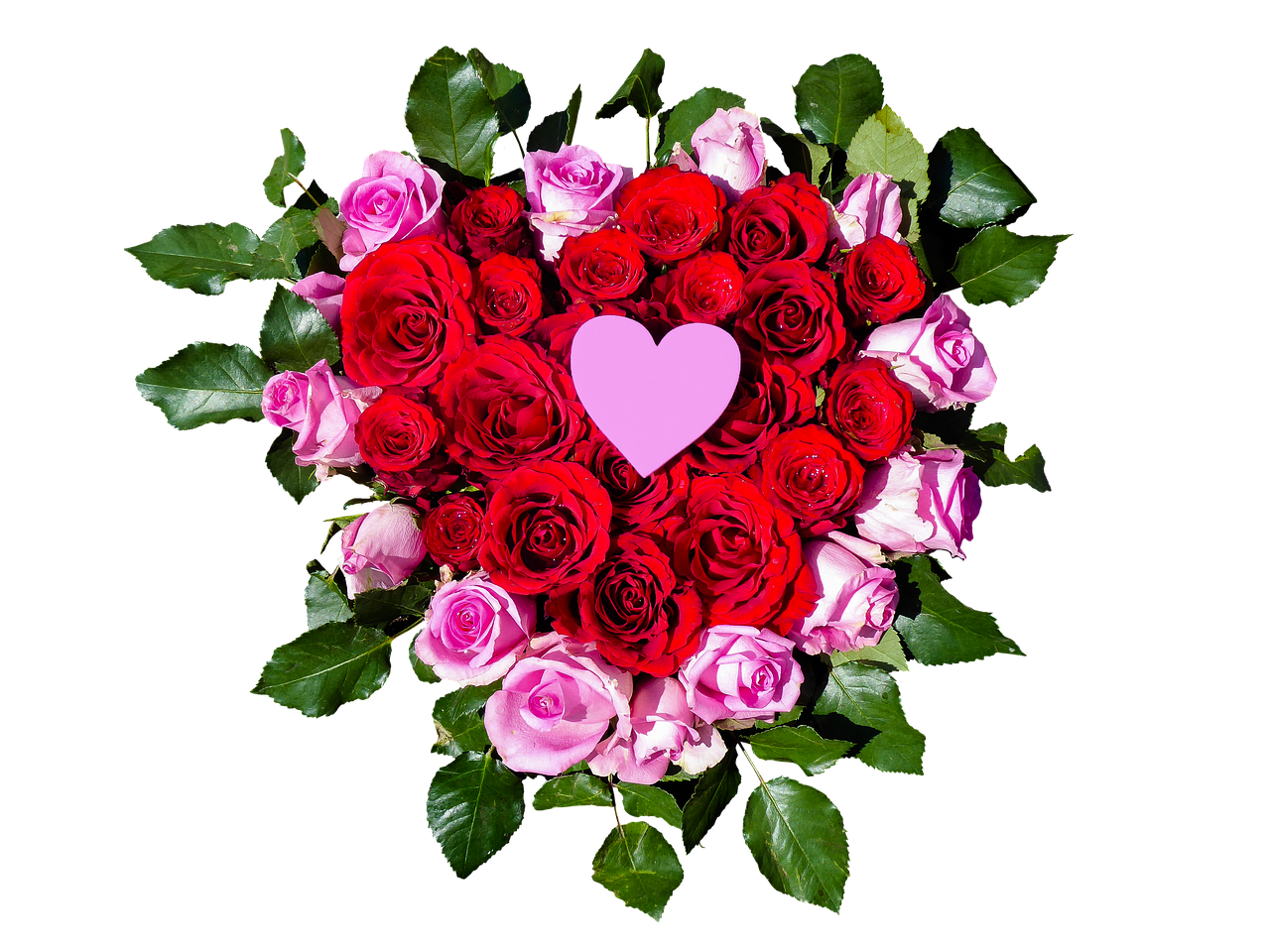 flowers  heart  roses free photo