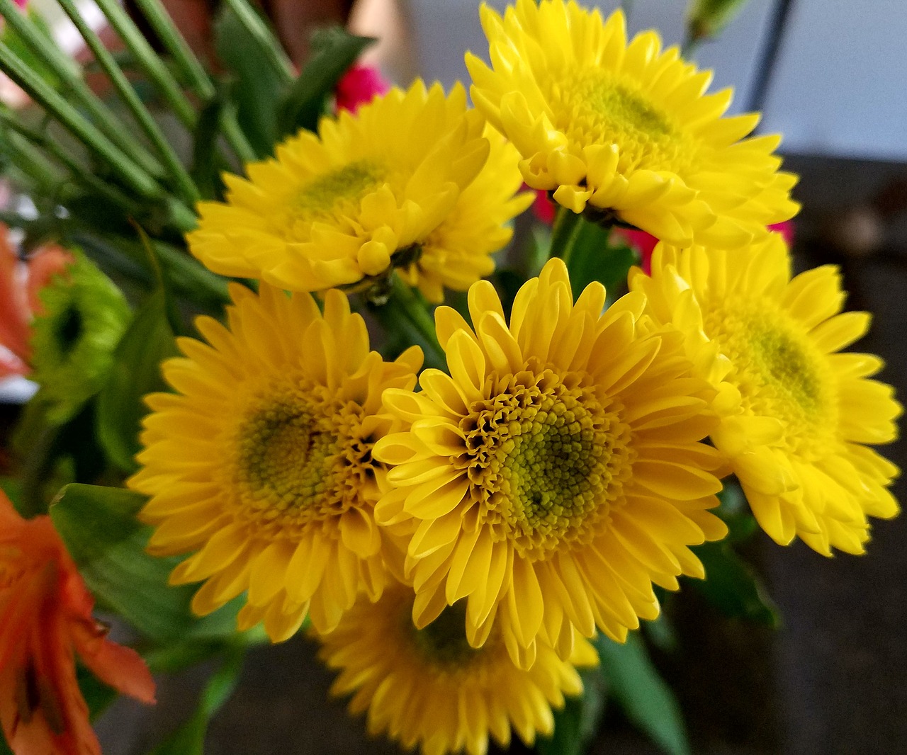 flowers  yellow  bouquet free photo