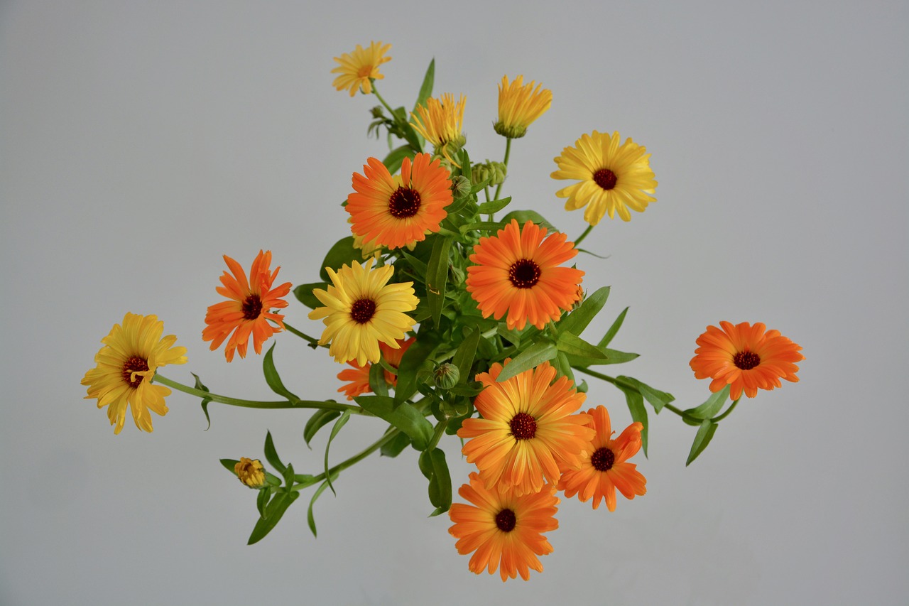 flowers  bouquet of flowers  orange-yellow color free photo
