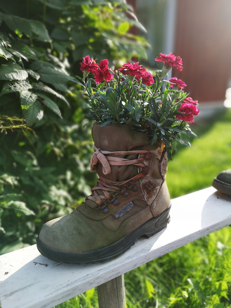 flowers  summer flowers  gardening free photo