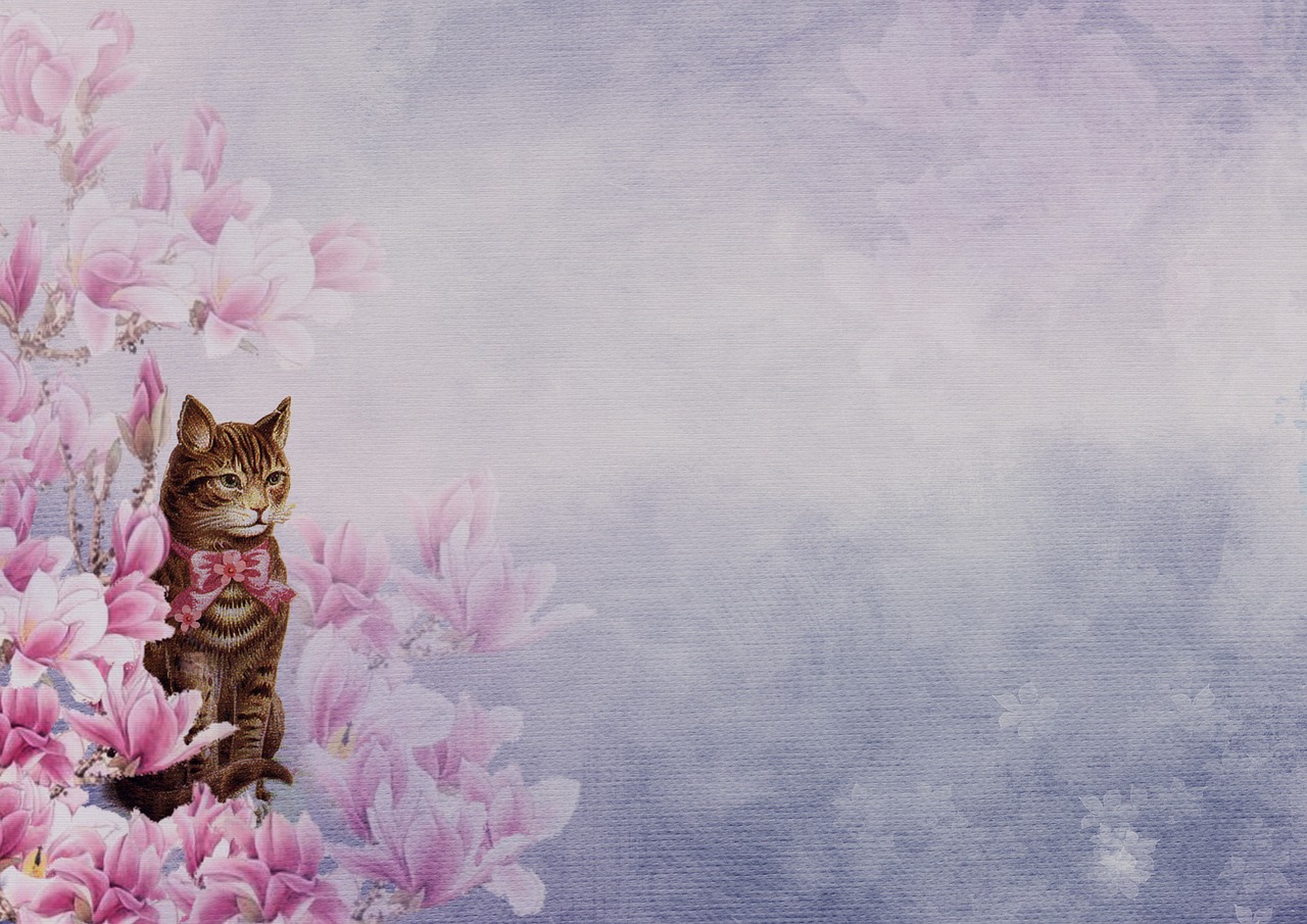 flowers  cat  vintage free photo