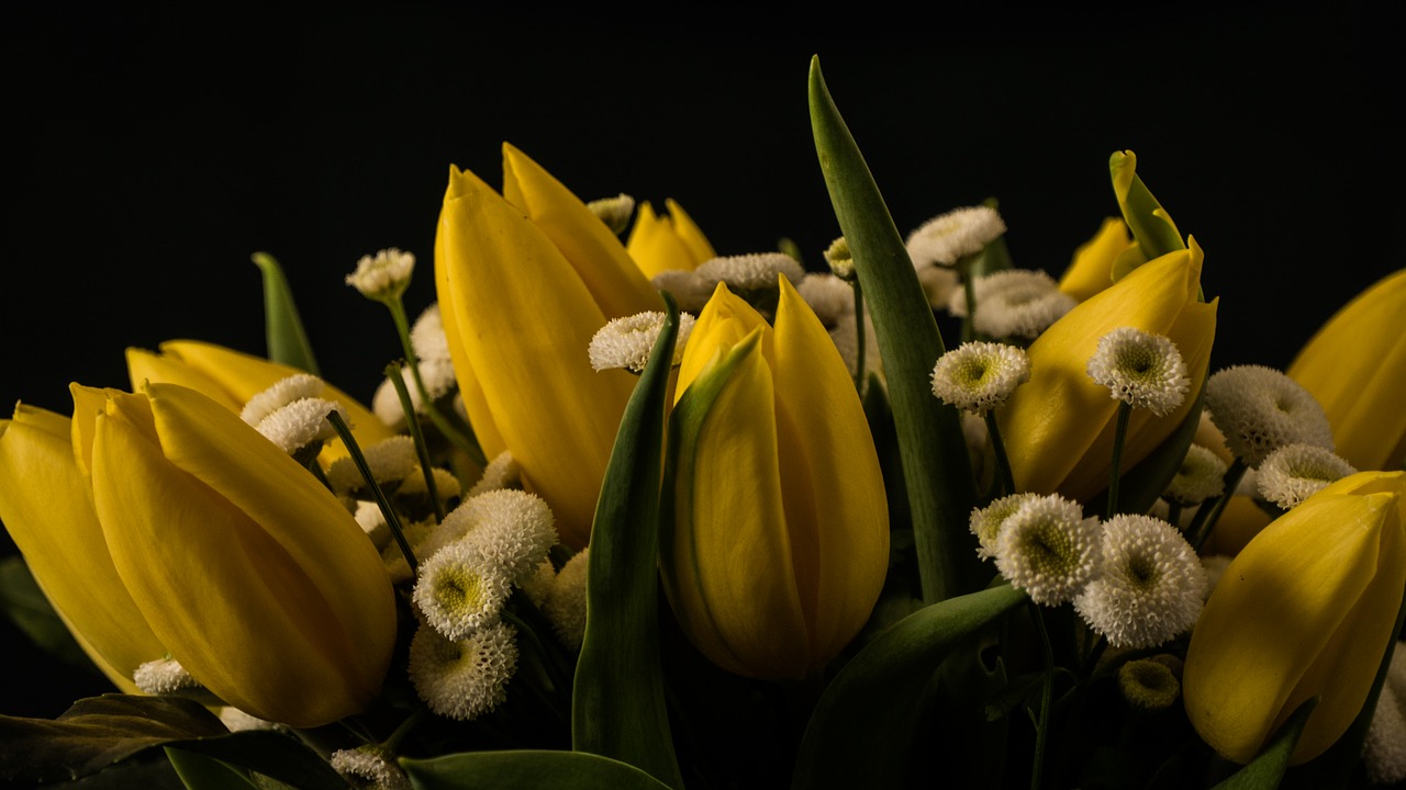 flowers  bouquet  arrangement free photo