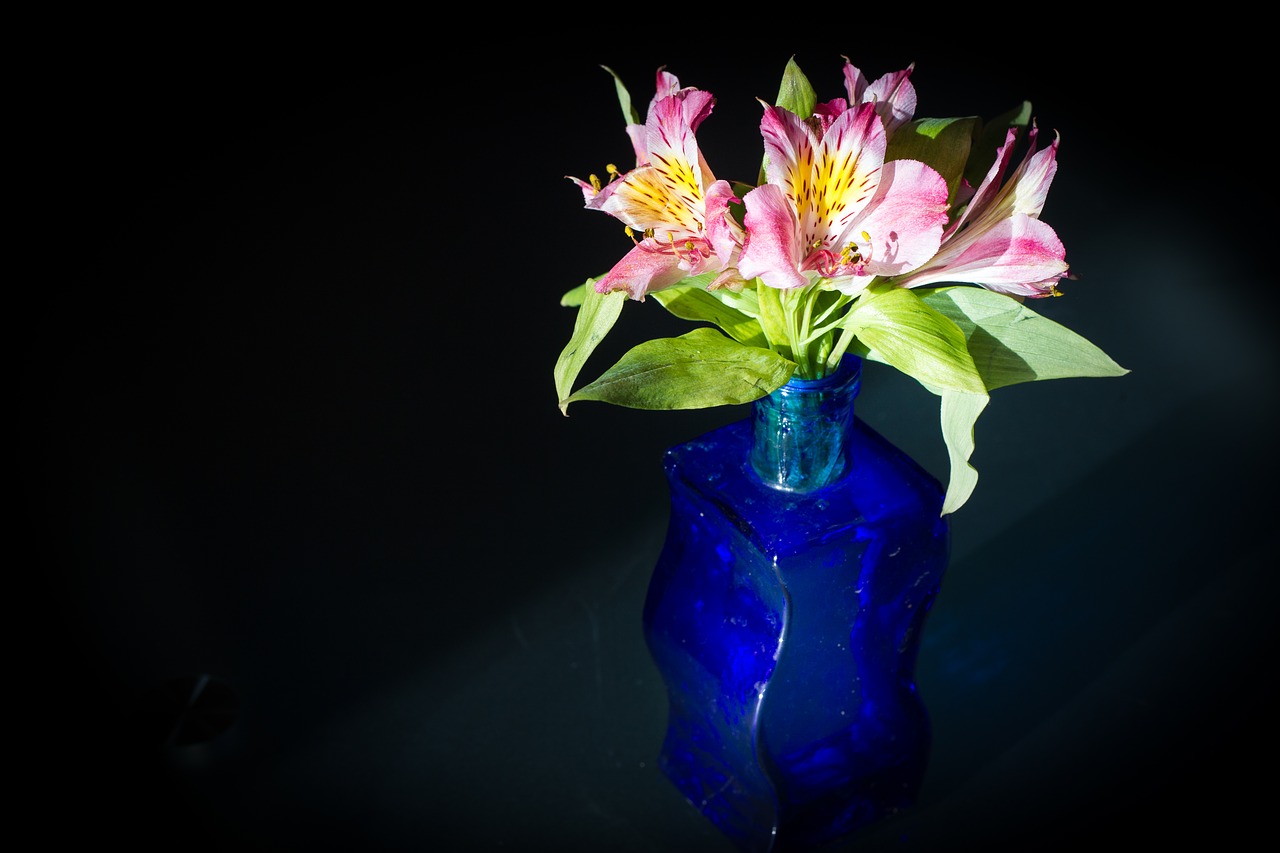 flowers  vase  deco free photo