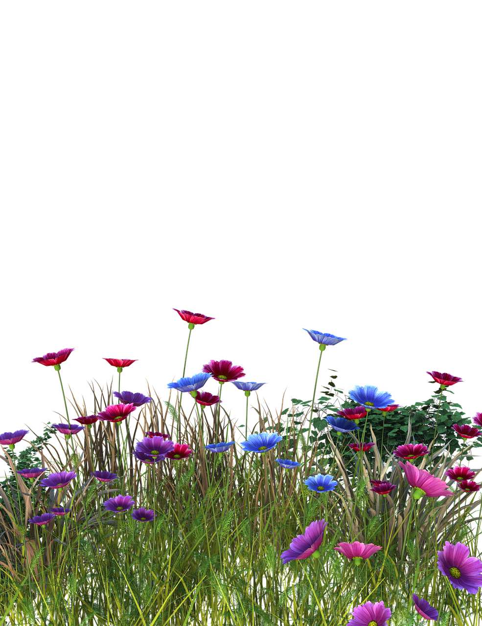 flowers  grass  garden free photo