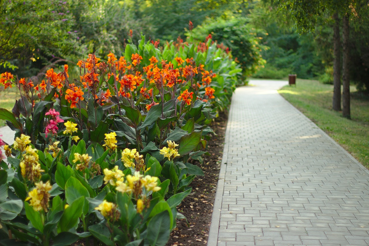 flowers  alley  nature free photo