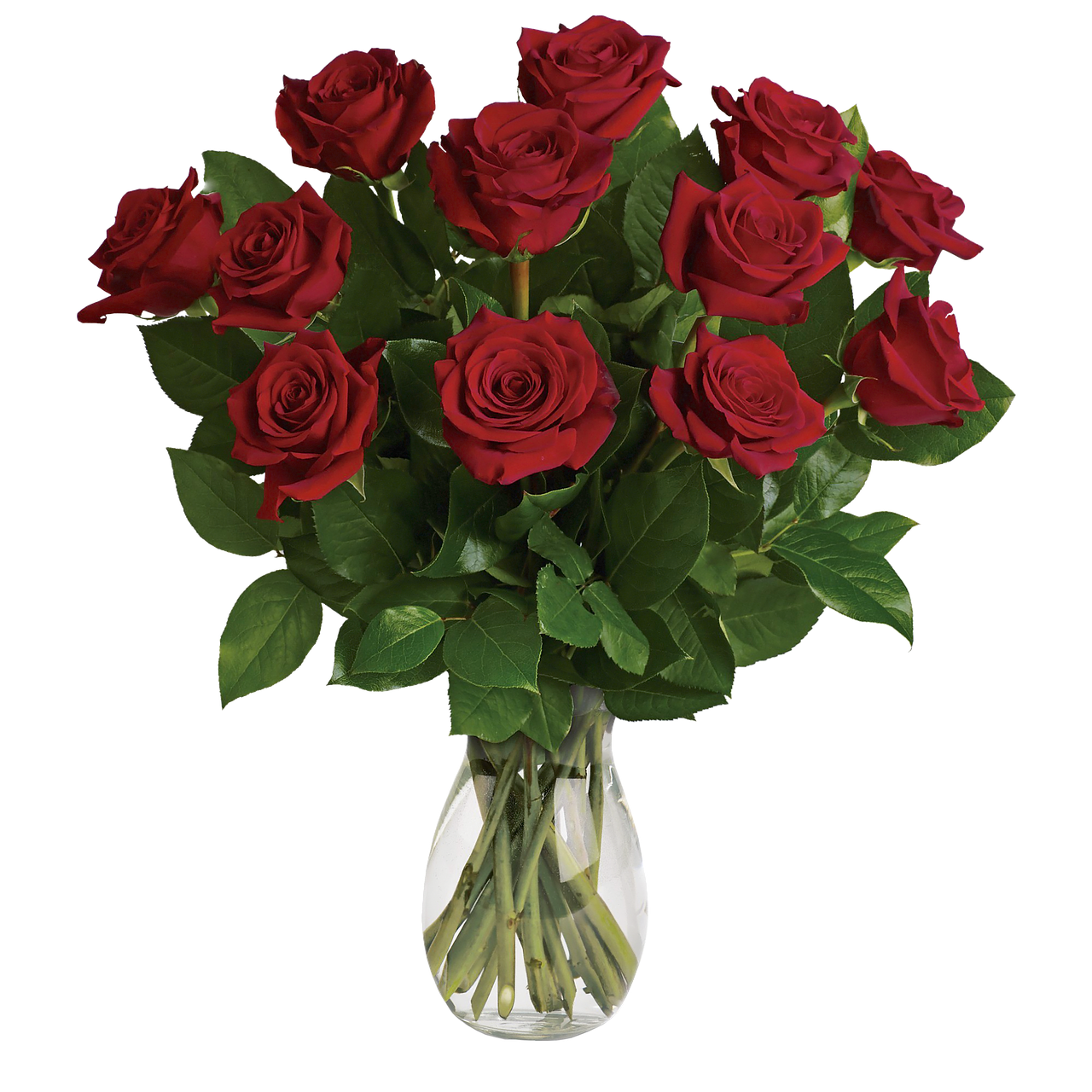 flowers  red roses  vase free photo