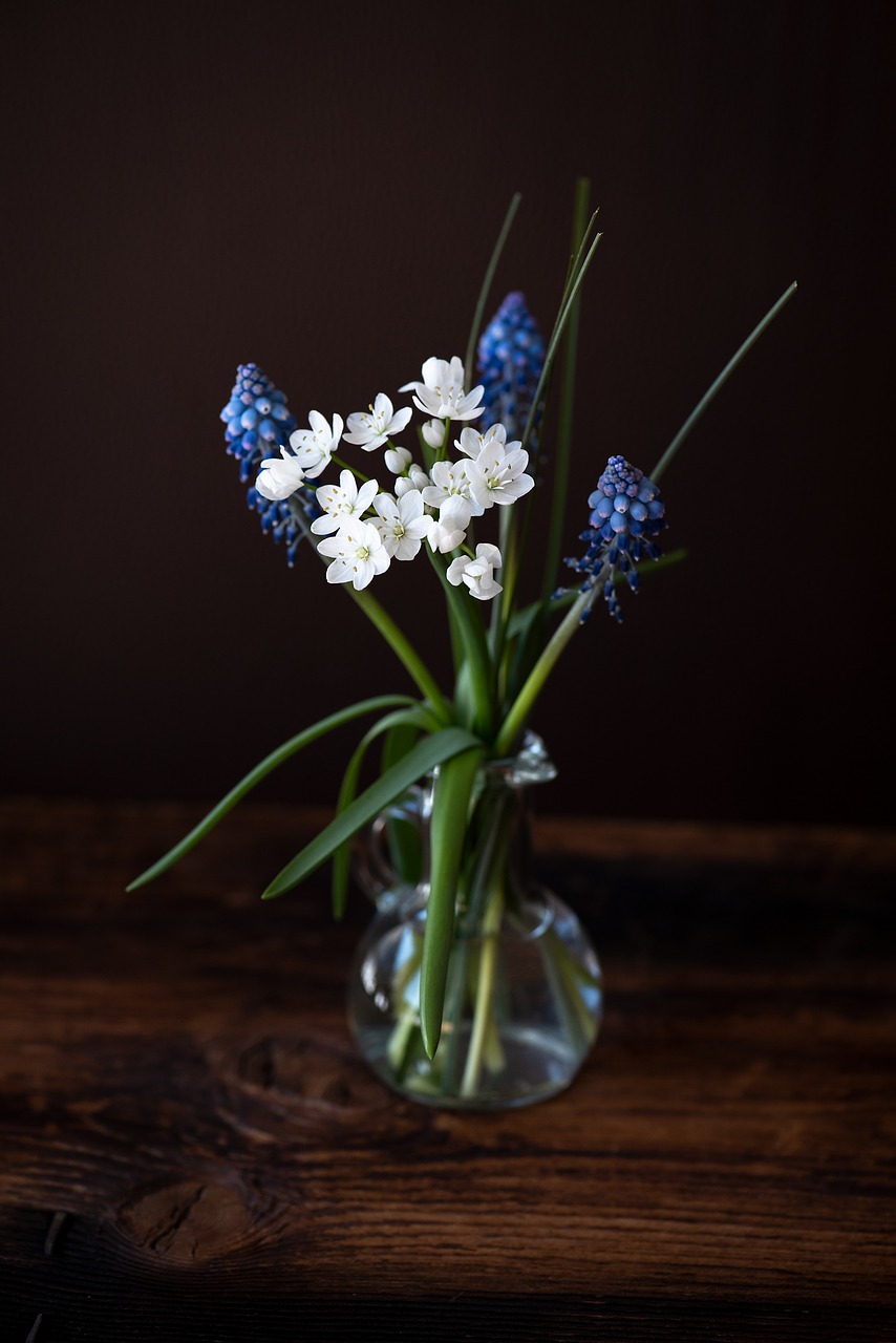 flowers  spring flowers  white free photo