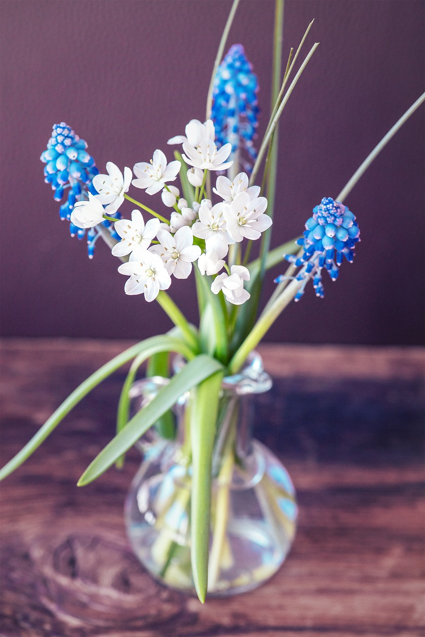 flowers  spring flowers  vase free photo