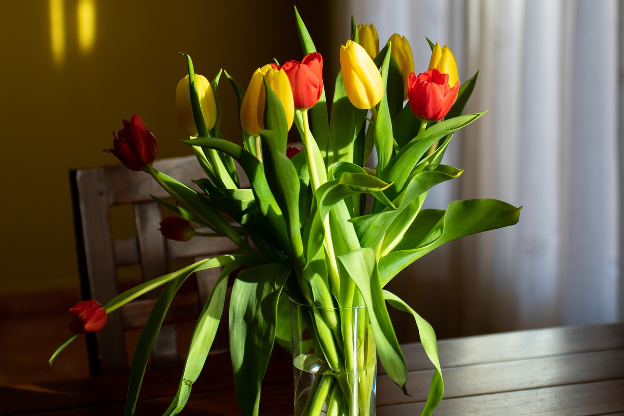 flowers  light  bouquet free photo