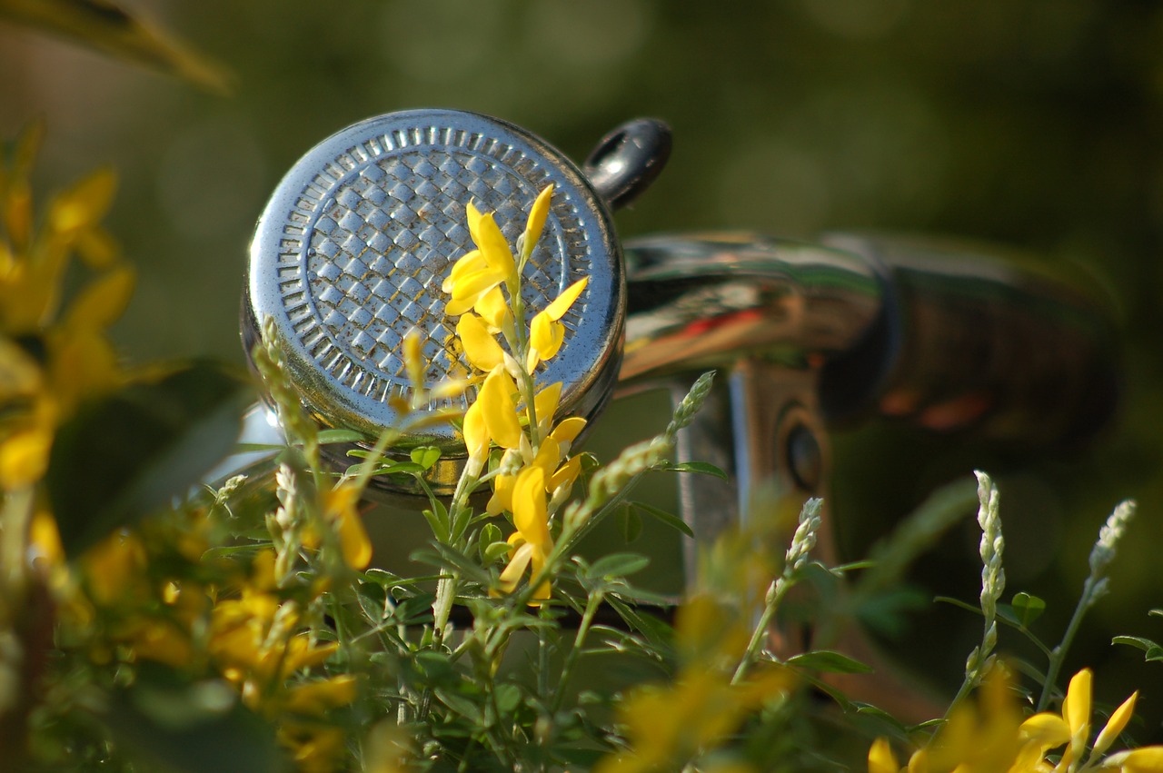 flowers  yellow flowers  bell free photo