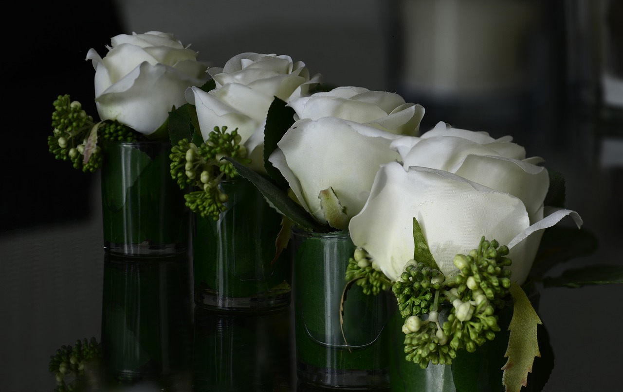 flowers  white  roses free photo