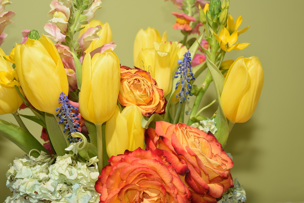 flowers  arrangement  bouquet free photo