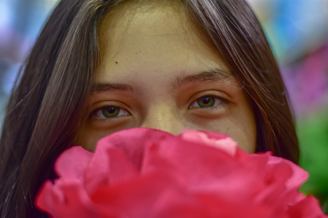 flowers  rose  pink free photo