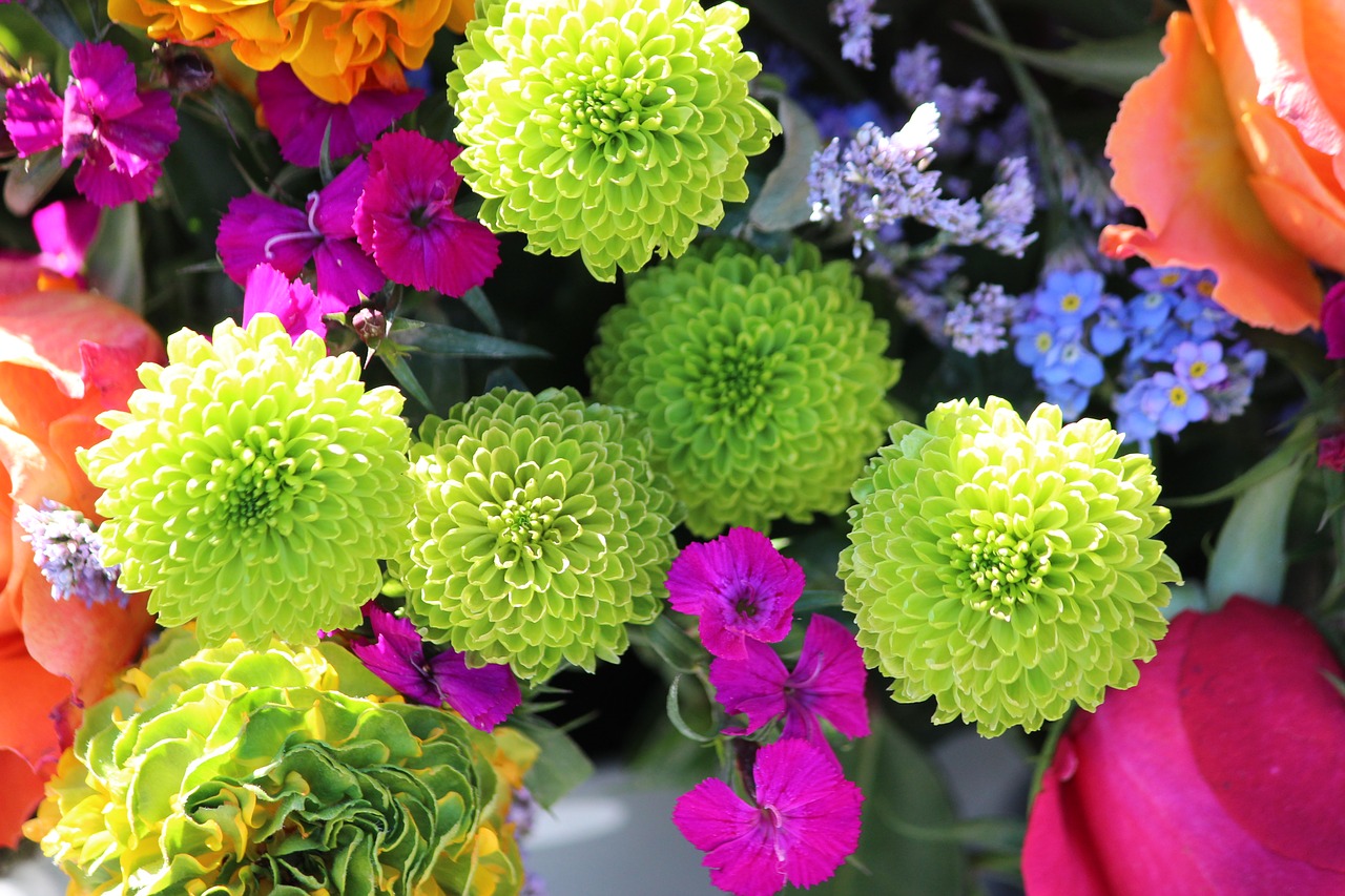 flowers  yellow  plant free photo