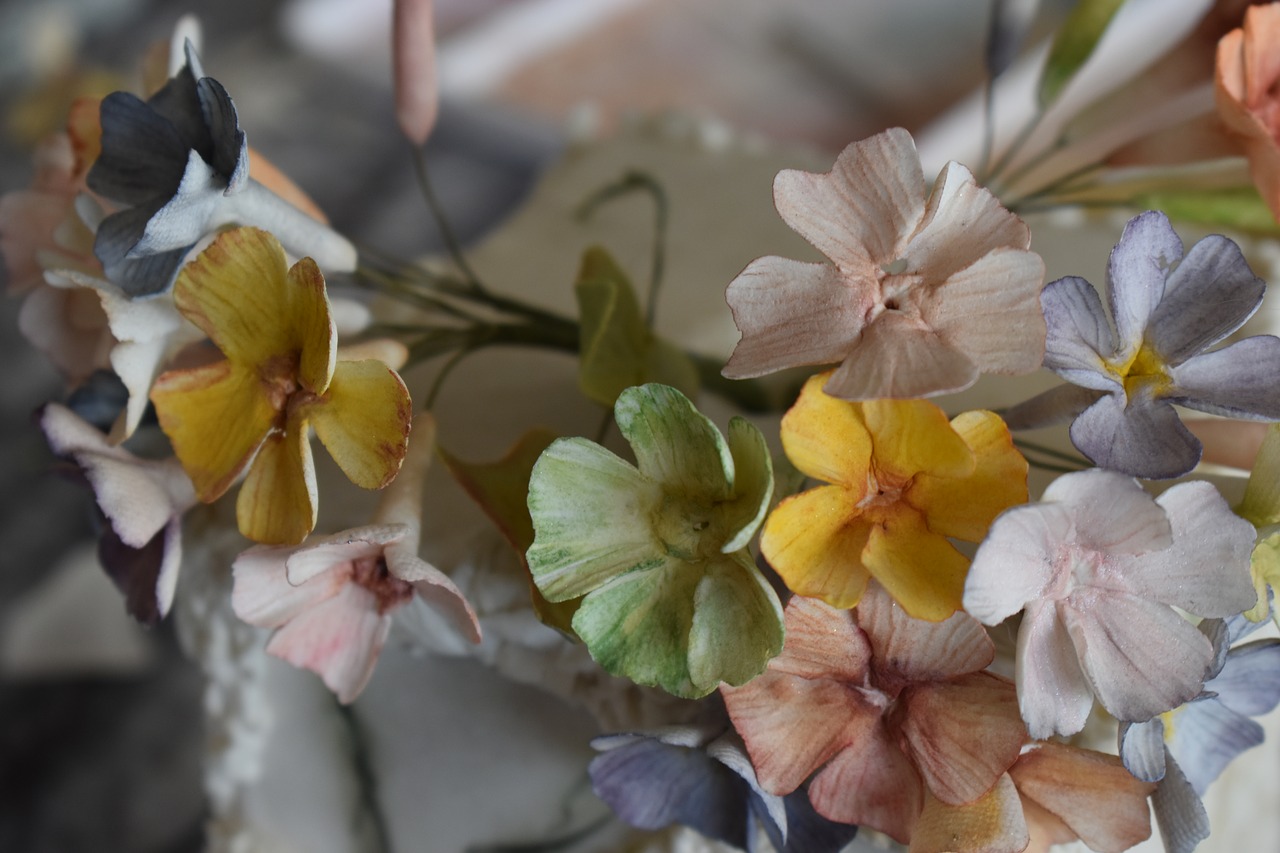 flowers  cake  sugar free photo