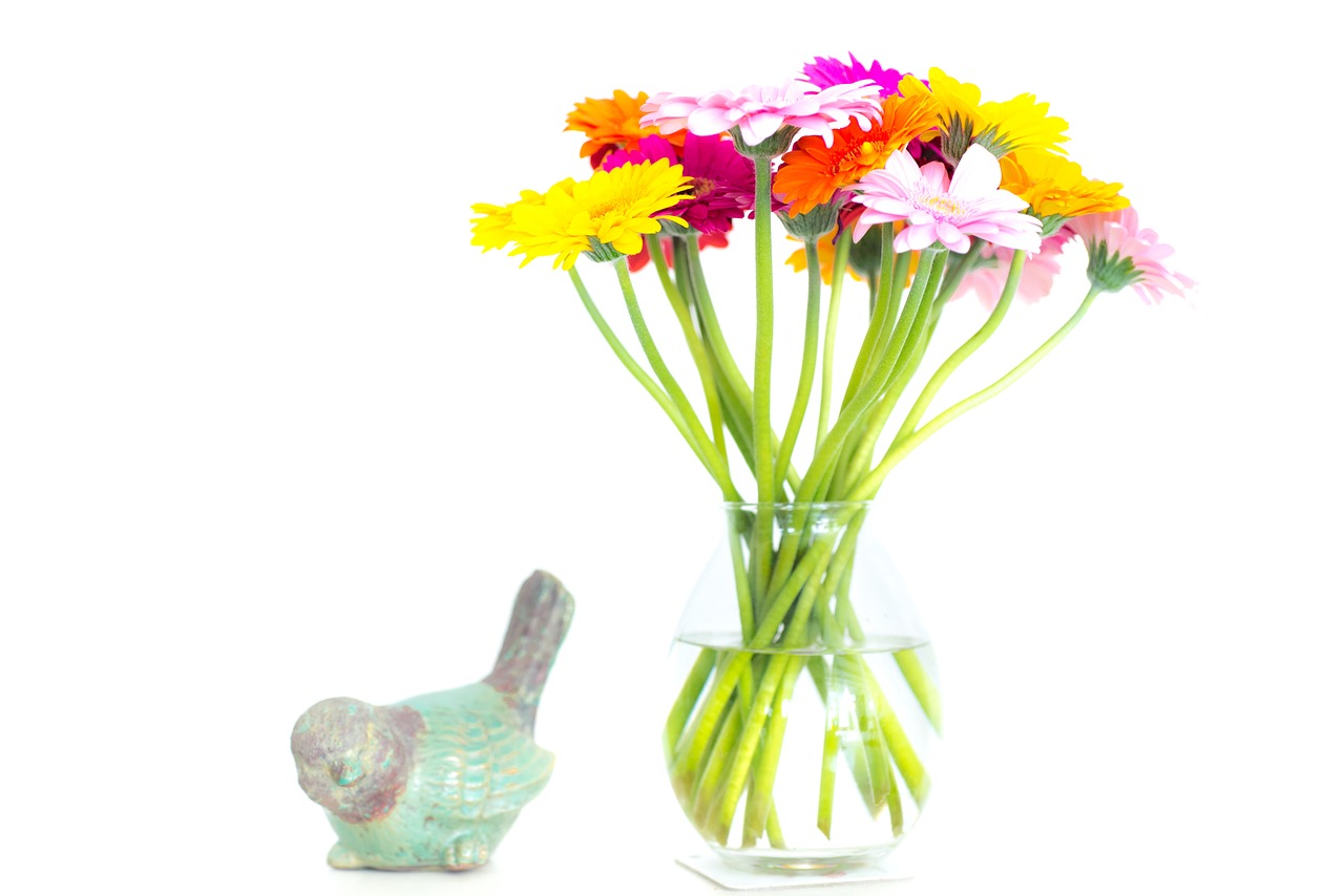 flowers  vase  colorful free photo