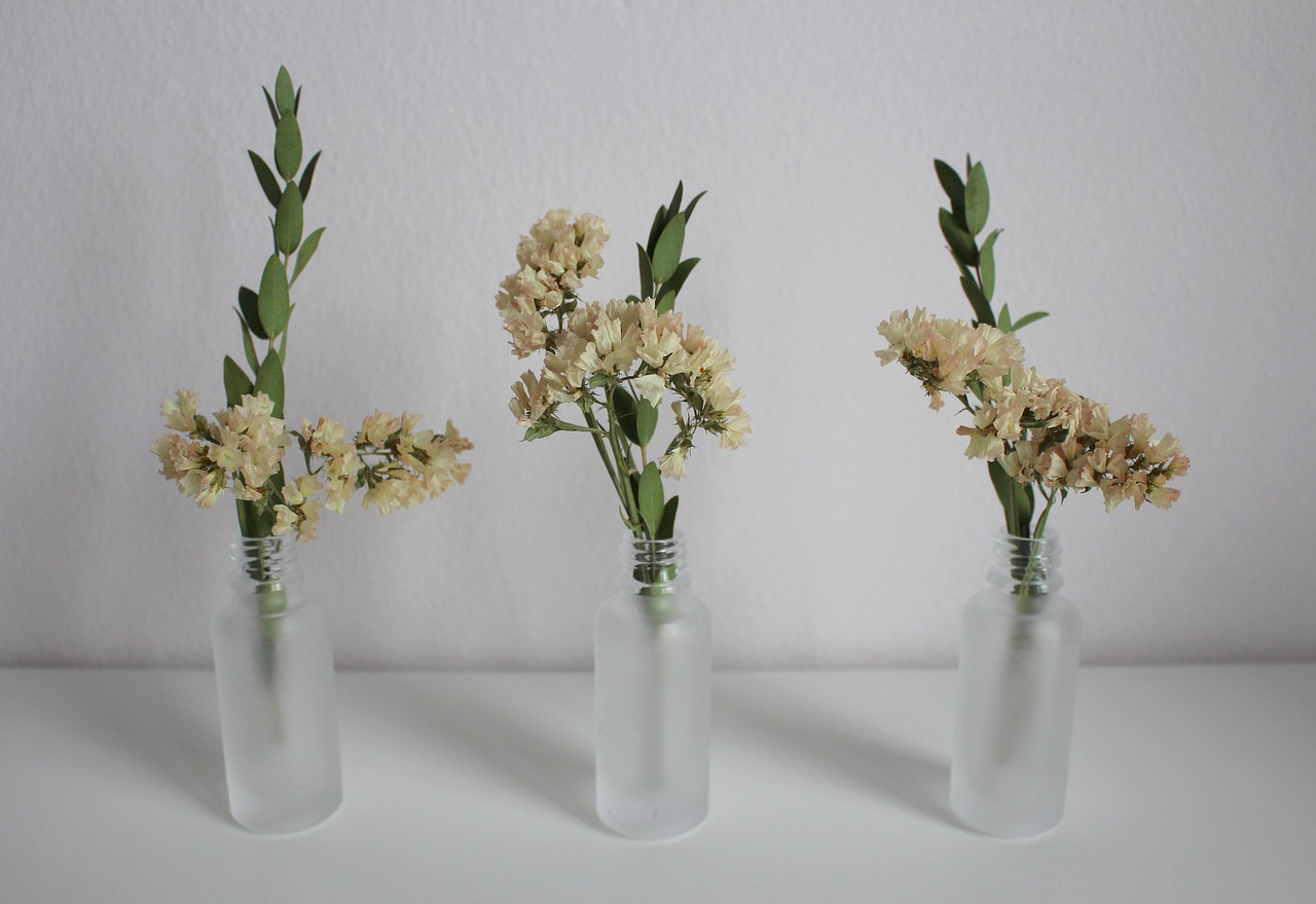 flowers  vase  deco free photo