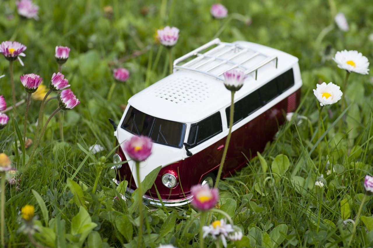 flowers  radio  volkswagen free photo