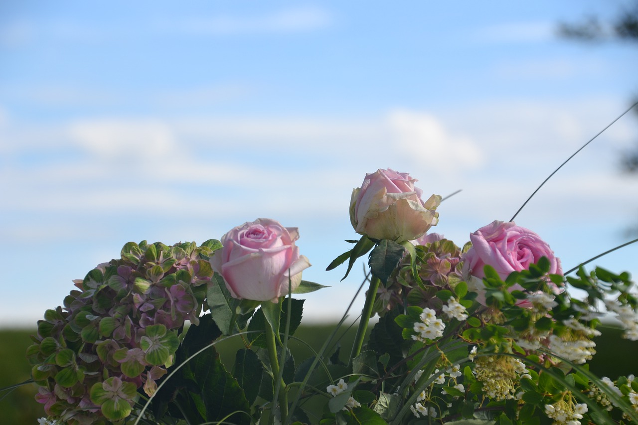 flowers  roses  bouquet free photo