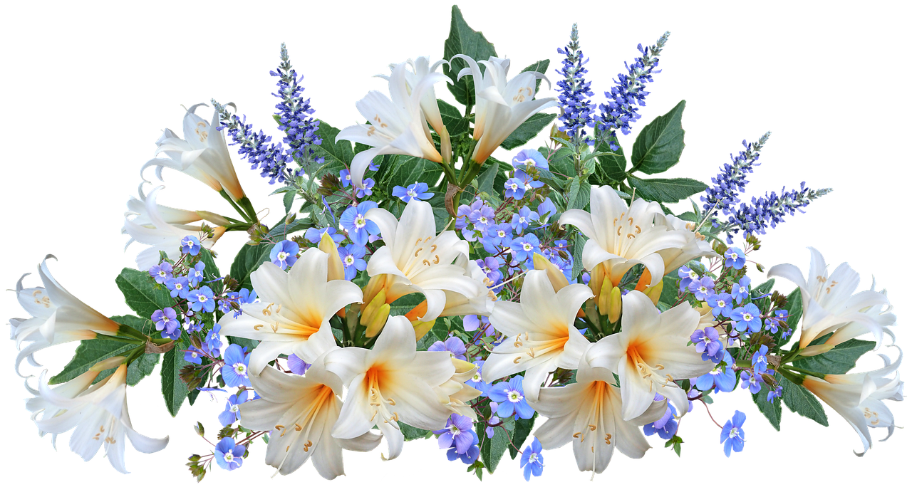 flowers  lilies  arrangement free photo