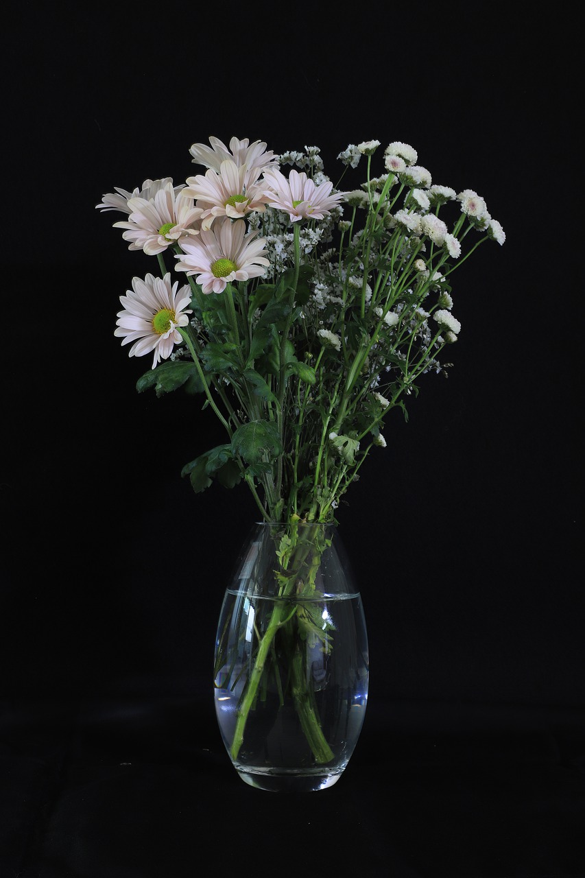 flowers  vase  bouquet free photo