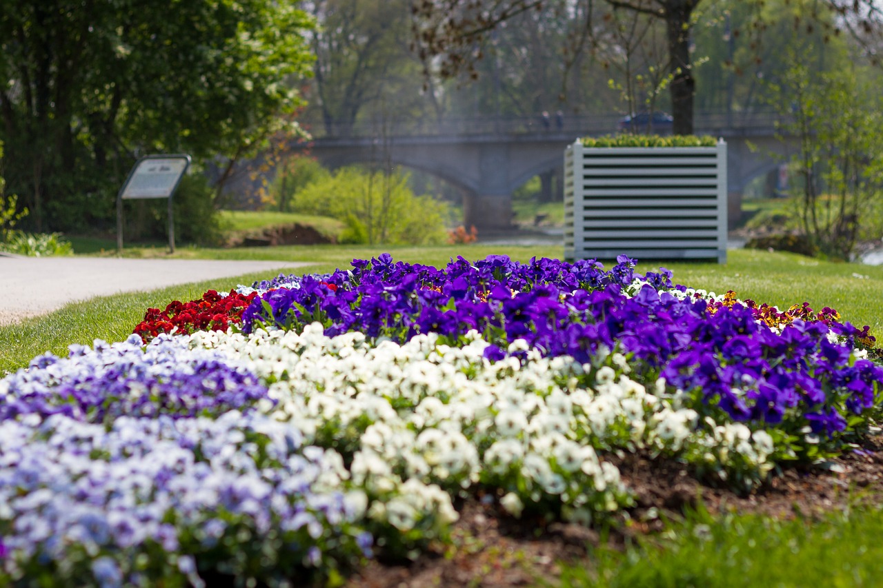 flowers flower bed spring free photo